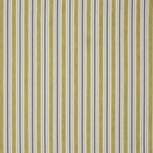 Warwick Watford Citrus